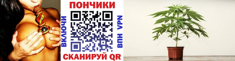 Каннабис Bruce Banner где можно купить наркотик Чекалин